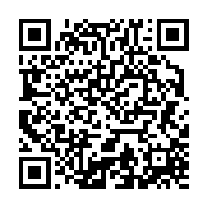 孙子轩变魔术一般将放在储物戒指当中的美酒美食取了出来二维码生成