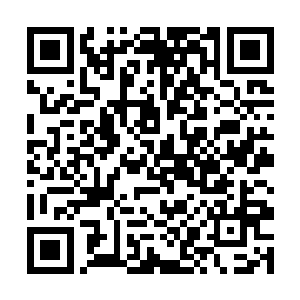 孙子轩可不会在这种情况下吃这种没有半点用处的醋二维码生成