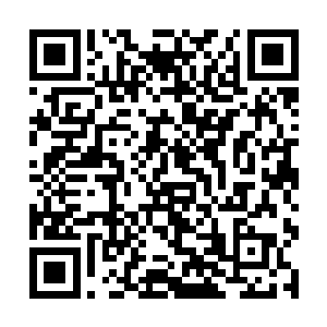 孙子轩在百木鼎恢复了稳定之后才重重的舒了一口气二维码生成