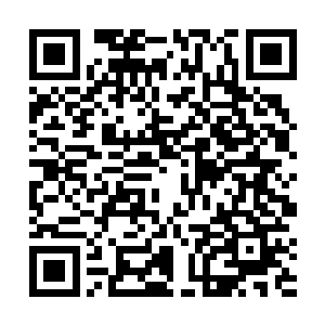 孙子轩好歹也是华夏医科大学西医分院正儿经的大学生二维码生成