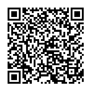 孙子轩将包上了一层掩人耳目外衣的摄魂心法传授给了子轩门的门徒二维码生成