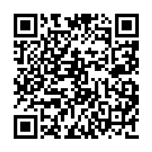孙子轩将目光从百木鼎转移到了周围众人的身上二维码生成