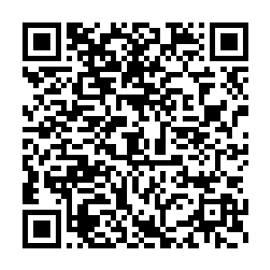 孙子轩就从赵旻睿的口中得知那些追求天道的修真者全都是被道医家族二维码生成