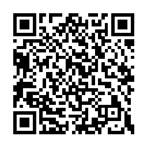 孙子轩就已经知道这次的攻击是要打什么地方了二维码生成