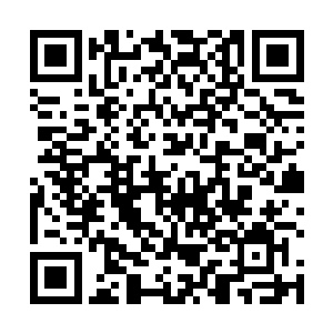 孙子轩居然在这种紧张的时刻还有精力微笑着安慰少年二维码生成