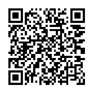 孙子轩怎么可能会眼睁睁的看着杨晓芸牺牲自己二维码生成