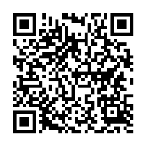 孙子轩想到自己刚刚选择仙草识辨用的就是手指去点二维码生成