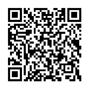 孙子轩指着老坑全赌区那些大小不一的石头问道二维码生成