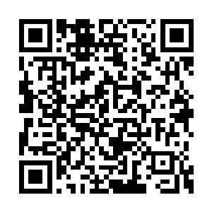孙子轩暗暗数着清心老道用元气淬炼药丹的次数二维码生成