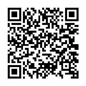 孙子轩最多最多也就是能够准确的诊断出病人的病情二维码生成