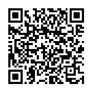 孙子轩果断的将十滴不同的灵草精粹投入到了鼎口当中二维码生成