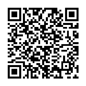 孙子轩根本就不知道大排面里面的大排究竟是什么东西二维码生成