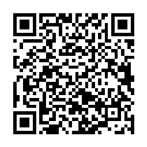 孙子轩根本就没有见识到真正的仙医的医术是什么样的二维码生成