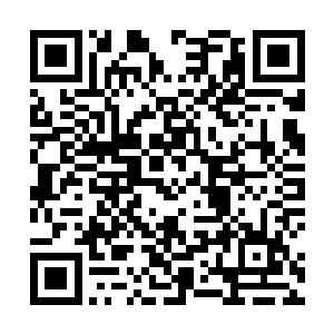 孙子轩没有想到竟然有这么多的傻子如此主动的跳出来二维码生成