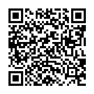 孙子轩现在却敢放言说治疗之后伊娃百分百和正常人一样二维码生成