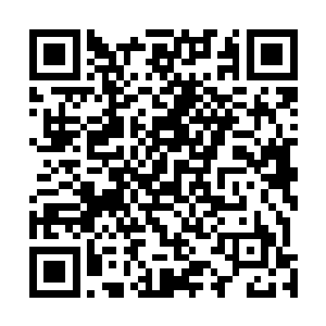 孙子轩现在明白过来为什么梁宽之前不接受赌命的赌约了二维码生成