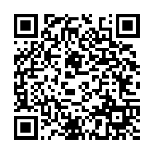 孙子轩的近战可不仅仅是学自小龙哥还有叶问大师二维码生成