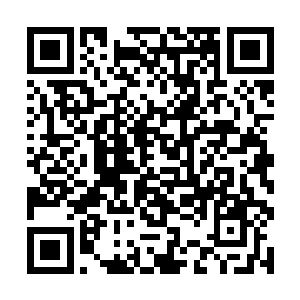 孙子轩真的害怕自己不召唤金身保甲最多被胖揍一顿二维码生成