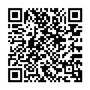 孙子轩能够从冰雪世界当中出来就已经让她感觉无比的惊讶了二维码生成