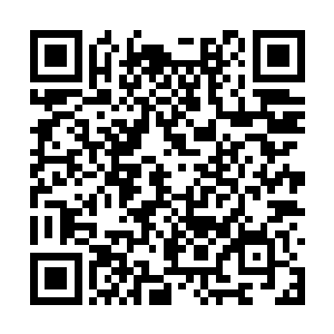 孙子轩虽然从白素贞哪里学到了给灵兽治病的方法二维码生成