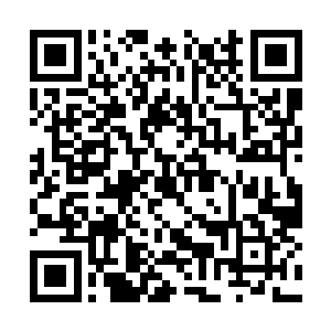 孙子轩随手点在了四株植物右边数第一个植物上面二维码生成