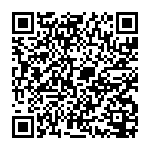 孙子轩需要考核的十一个傀儡人偶全都已经恢复到了最初的健康状态二维码生成