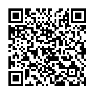 孙子轩顿时感觉到自己的后面像是黏了一只跟屁虫一般二维码生成