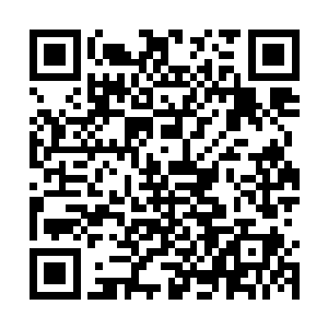 孙家zheng需一个拥有高超的内政手段与雄心的君主出现时二维码生成