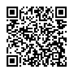 孙悟空和弑神的实力只怕不比一般的主神高手差二维码生成