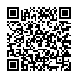 孙慕河对农业工作的理解和见解都让陆为民十分满意二维码生成