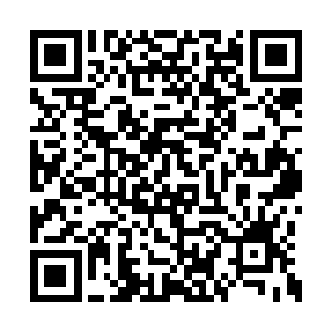 孙朝阳局长亲自把病毒报告和治疗方案拿了过来二维码生成