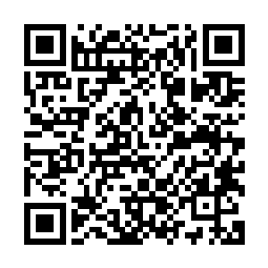 孙策引兵穿过了前两番皆遇到埋伏的诛虎长原外数十里的丛林二维码生成