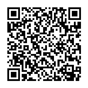 孙雅儿体内的能量转化之后龙傲天发现并不是一般的修真者拥有的真元二维码生成