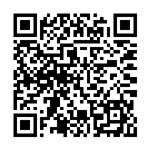 孙震和焦正喜几乎是每天带着地委政研室和计委二维码生成