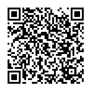 孙鹏就藏在青苔之下这口水井之所以于枯了还能够滋生出那么多的青苔二维码生成