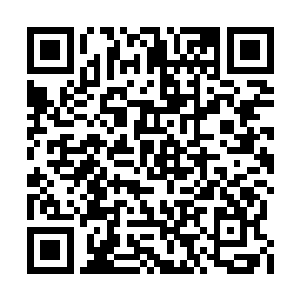 孝子的注意力被巴克的钥匙扣打火机吸引过去了二维码生成