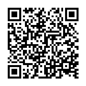 孟丫头和这丫头在短短十几天内就建立了深厚的友谊二维码生成