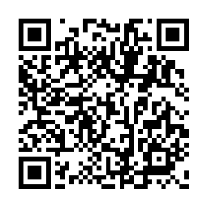 孟丽川亦将自己的天赋和努力都发挥到出神入化二维码生成