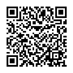 孟南双手如同穿花蝴蝶一般结出了数道合丹印诀二维码生成