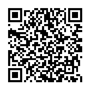 孟南甚至能感觉到狮虎兽王身上散发的炽热气息二维码生成