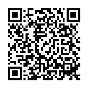 孟南的元力修为应该无法让他在这种程度的战斗之中支撑太久二维码生成