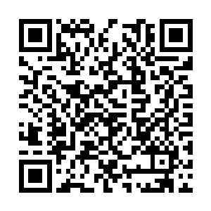 孟奇原本还以为自己得拔剑过上几招才能解决战斗二维码生成