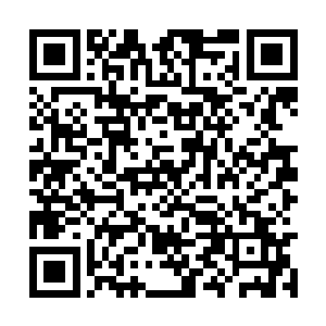 孟奇发现自身已重新处在荒凉广袤的洪荒碎片之中二维码生成