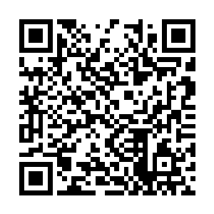 孟志出身于九大上宗中三大最强宗门之一的无量宗二维码生成