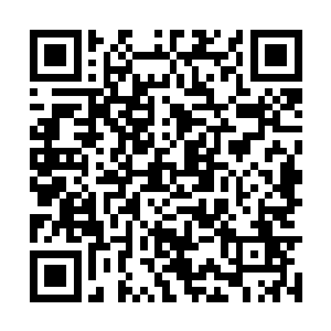 孟猊一点都没有察觉到自己是被负面情绪给影响了二维码生成