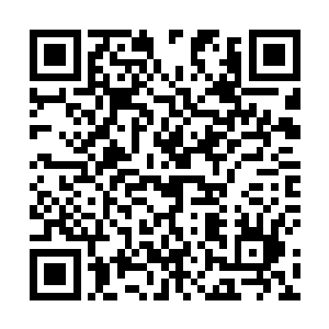 孟猊从储物戒指当中拿出了自己当初在银月城买的衣服二维码生成