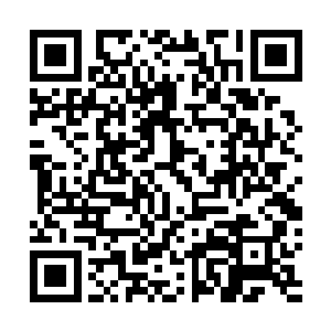 孟猊的确是能感觉这块紫色的玉印当中有一股奇特的力量二维码生成