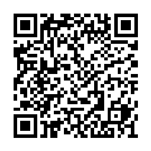 孟猊能清晰地看到里面躺着一副身穿锦衣的尸骨二维码生成