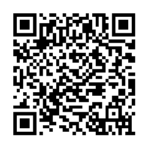 孟瑶还有张云龙一直都是目不转睛的盯着秦宇的二维码生成