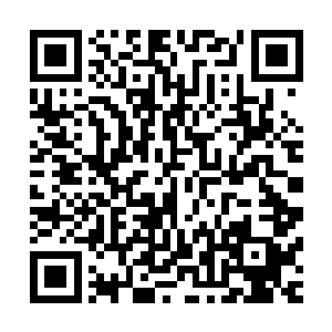 孟瑶还有秦宇的父母到附近的一家档次不低的酒店解决的午饭二维码生成